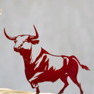 el toro 2 - rot